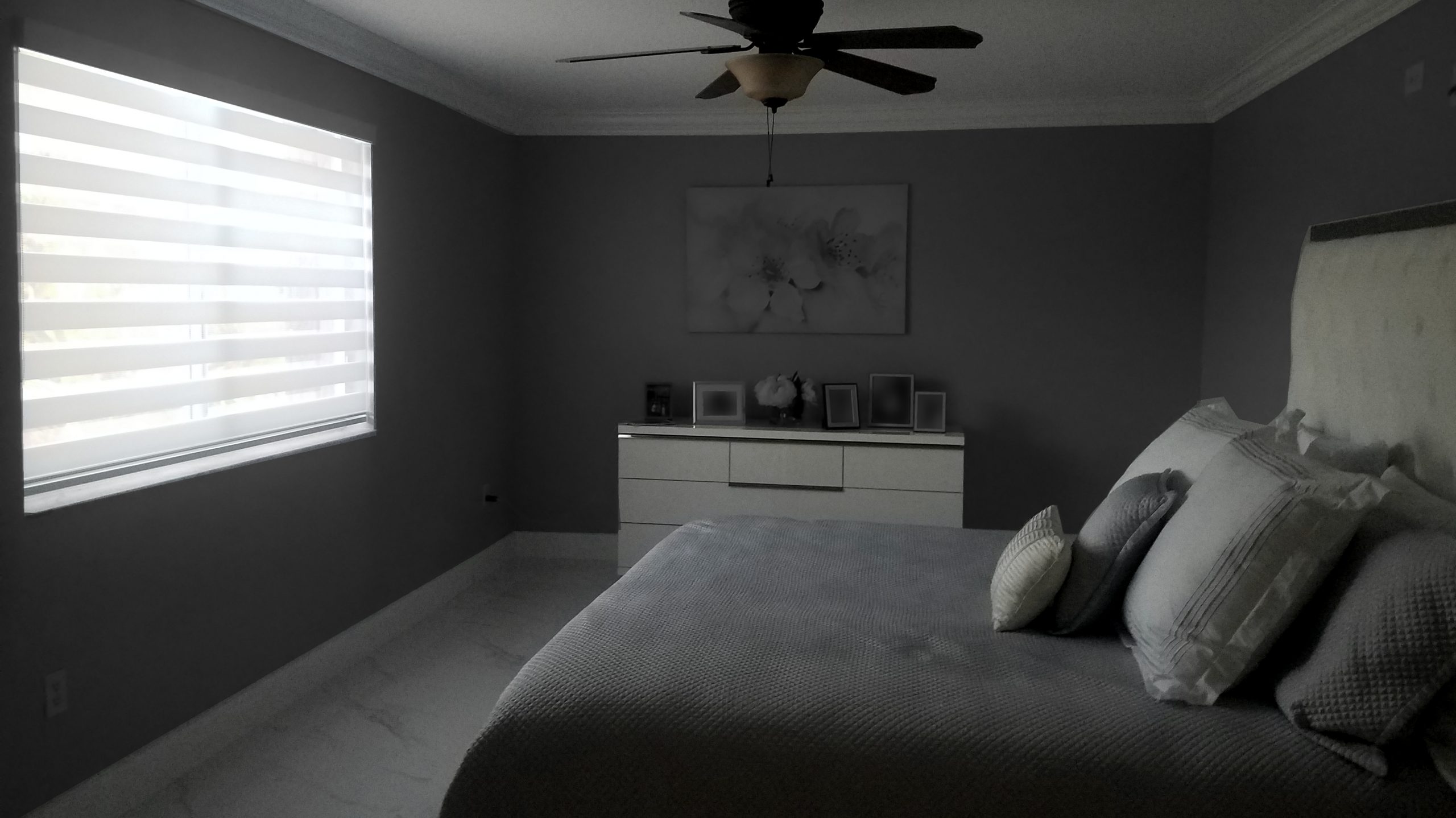 ZEBRA BLINDS